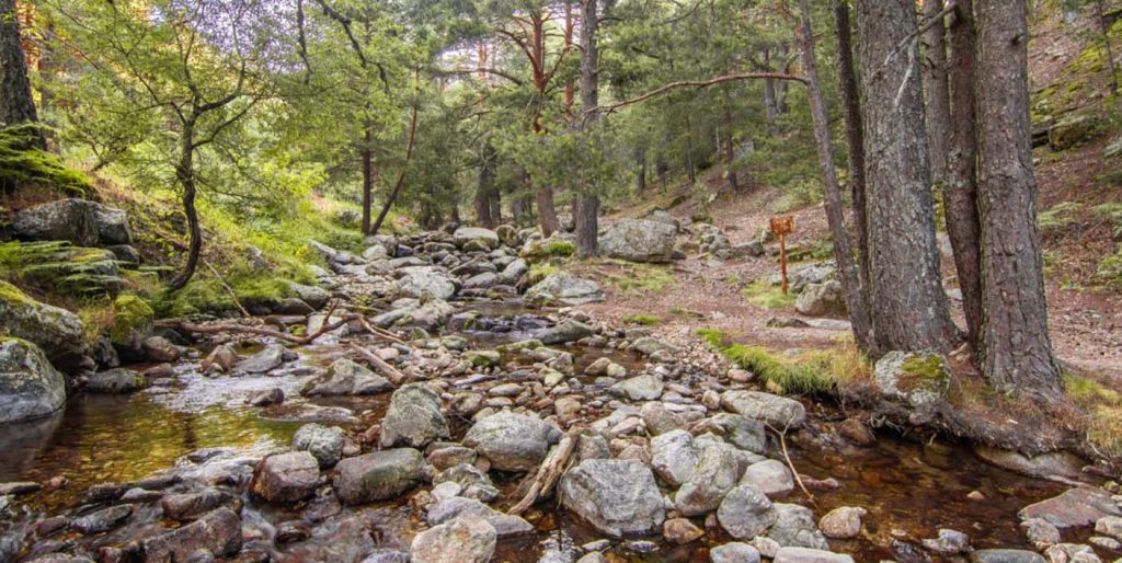 Explorer la Nature : Les Meilleures Options de Camping et de Randonnée aux Environs de Madrid