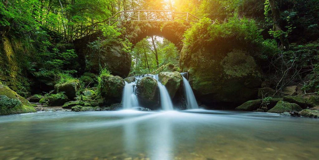 Découvrir Intimement la Nature du Luxembourg : Les Meilleurs Sites de Camping et de Randonnée